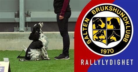 Vinterstevne Trippel Rally 1. og 2. mars 2025, Kringla, 8050 Tverlandet ...