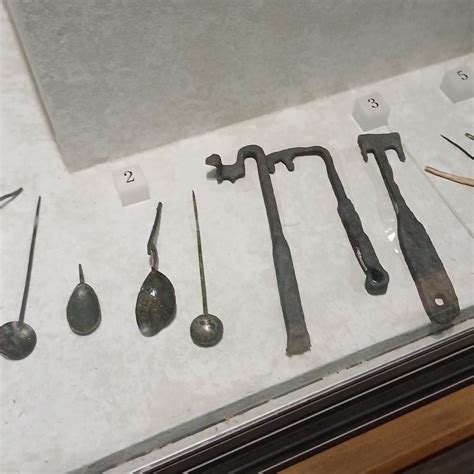 Abington Park Museum, Northampton - Tripadvisor