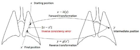 Image result for Ambiguity Problem in Java