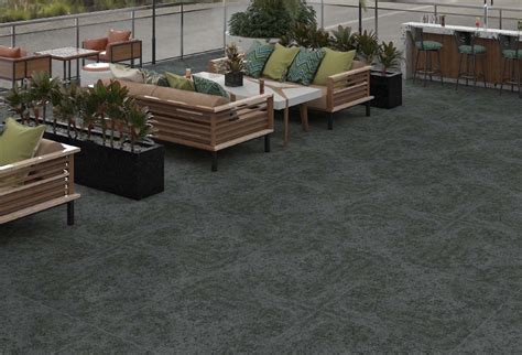 TL 00005 Alaska Ebony 600 x 600 mm Punch Look Matte Finish Anti Skid ...
