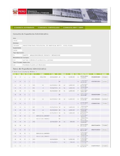 Consulta SIAF - Resumen ciencia y tecnologia - PERÚ Ministerio de ...
