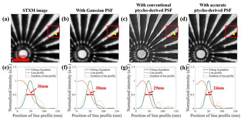 Enhanced Imaging in Scanning Transmission X-Ray Microscopy Assisted by ...