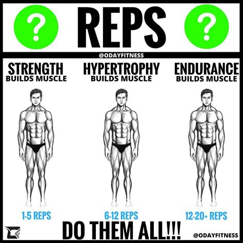 Tempo Training Method: Time Under Tension - Improve Your Strength Gains ...