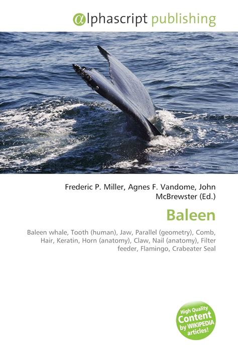 Baleen: Baleen whale, Tooth (human), Jaw, Parallel (geometry), Comb ...