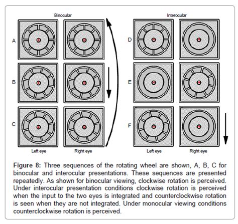 Image result for Depth Perception Circle Test