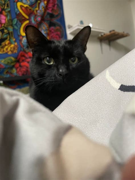 Missing ESA in downtown : r/fresno