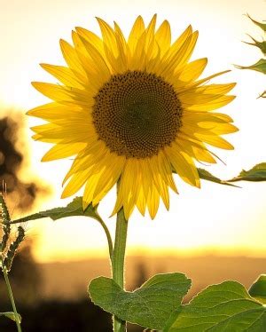 The Bradley Funeral Home | Recent Obituaries | Luray, Virginia | Who ...