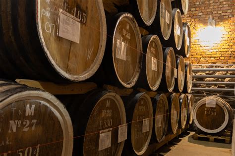 How is brandy made? A step-by-step guide from harvest to bottling ...