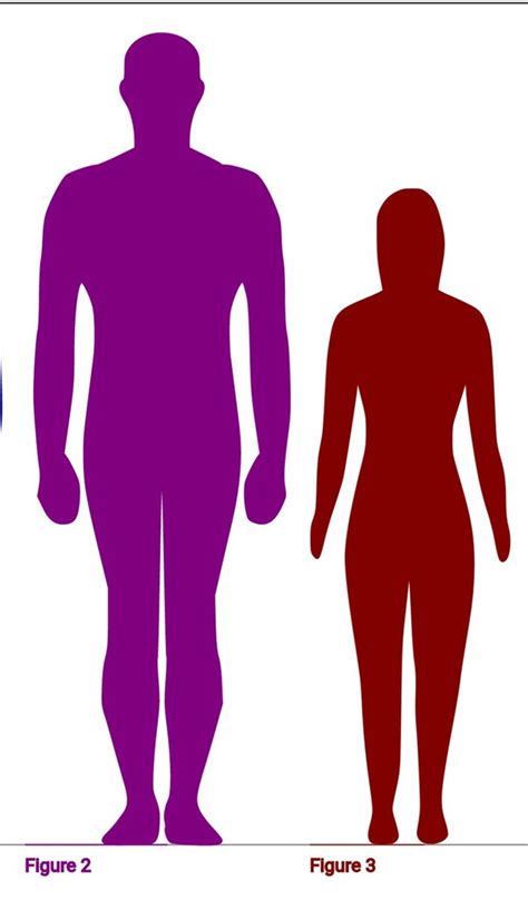 Image result for Height Difference in Python