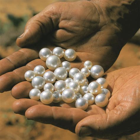8-22mm Rough pearls, cultured pearl, large freshwater pearl, assorted ...