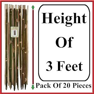 Kabi Aggro Bamboo Stick for Plant Support/Climbers Support for Plant 4 ...