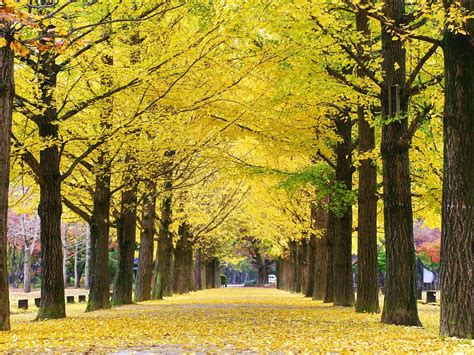 KOREA TIME TOUR - All You Need to Know BEFORE You Go 2026 (with Photos ...