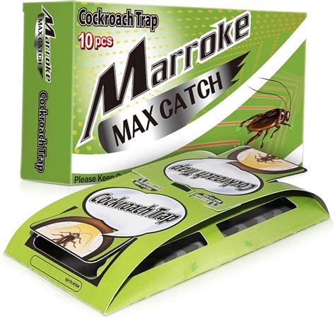 Image result for How to Catch Cockroach