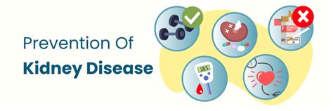 Tips and Strategies for Preventing Kidney Disease in Bangalore