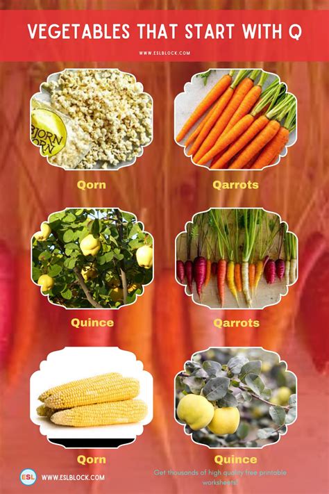 Vegetables That Start With Q - English as a Second Language