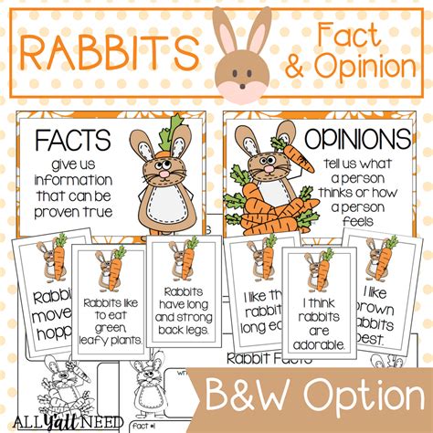 Fun Facts About Rabbits For Preschoolers at Bernadette Preusser blog