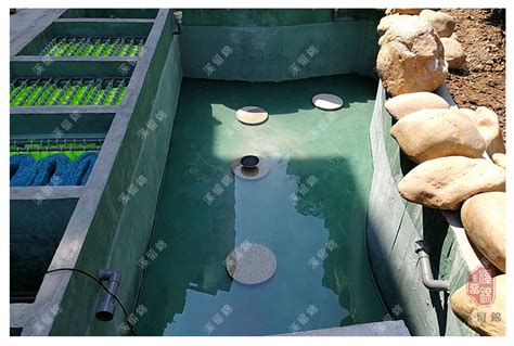 2018年最全面的锦鲤鱼池过滤系统解析，对照一下您的池塘过滤系统是否需要优化？ - 知乎