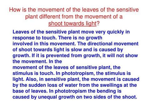 How is the movement of leaves of the sensitive plant different from the ...