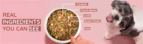 Best Dog Food Benny's Bowl Lamb & French Beans – Benny’s Bowl