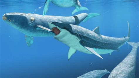Palaeos, la historia de la Vida en la Tierra: septiembre 2017