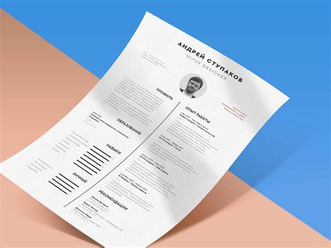 Image result for Template Resume Simple InDesign