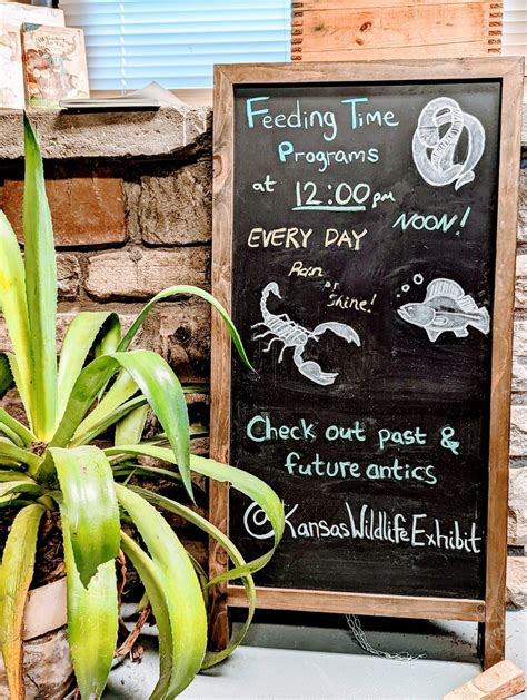 Riverside Park in Wichita: Free Splash Pad, Wildlife Exhibit, Hiking Trails