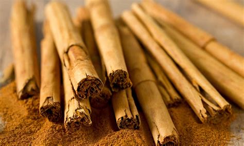 Cassia vs Ceylon Cinnamon: What’s the Difference? - A-Z Animals