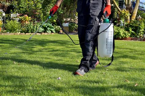 How to make homemade weed killer | Lawn Care Guide by Lawn Love