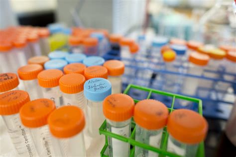 Biomedical sciences Biomedical Research 的图像结果