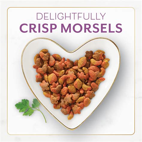 Fancy Feast Dry Cat Food