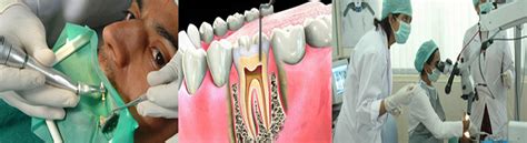 MDS Programme (Masters of Dental Surgery)