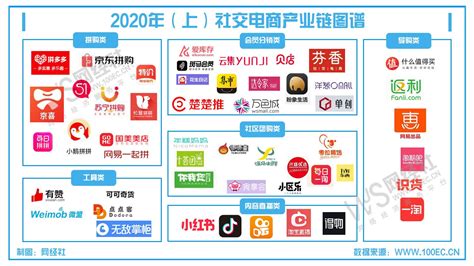 【专题】《2020年（上）中国社交电商市场数据报告》（PPT全文下载） 网经社 网络经济服务平台 电子商务研究中心
