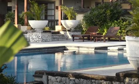 Image result for Privacy Pool Landscaping