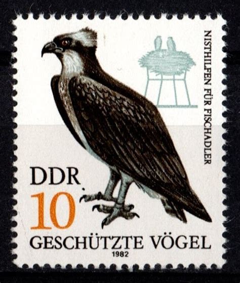 Image result for DDR Extreme Memory Card