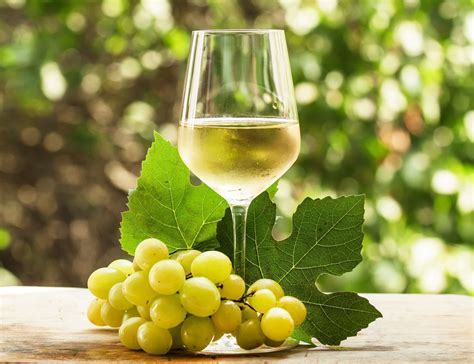 Dry Wine vs Sweet Wine: Key Differences Explained