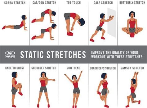 Image result for Static Stretch Examples