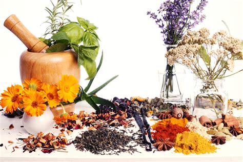 Traditional Medicine 的图像结果