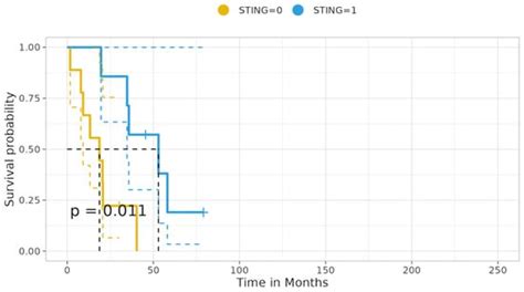 LKB1 Loss Correlates with STING Loss and, in Cooperation with β-Catenin ...