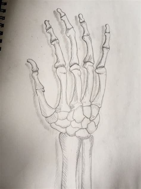 skeleton hand drawing by Bioniquanne1 on DeviantArt