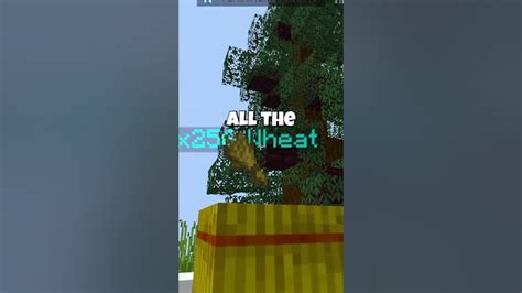 Image result for Minecraft Tycoon Direct Connection Java