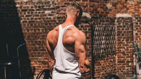 Image result for Triangle Back Bodybuilding