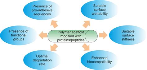 Proteins and Peptides as Important Modifiers of the Polymer Scaffolds ...