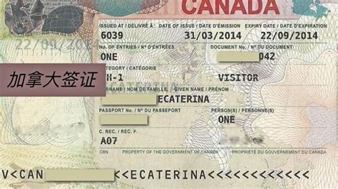 加拿大旅游探亲签证英文邀请信模板 – WeiPost