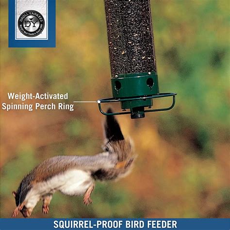 Droll Yankees Flipper Squirrel-Proof Bird Feeder