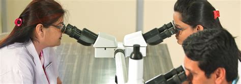 Swargiya Dadasaheb Kalmegh Smruti