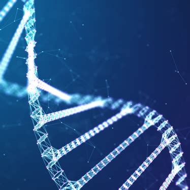 DNA Library Process 的图像结果