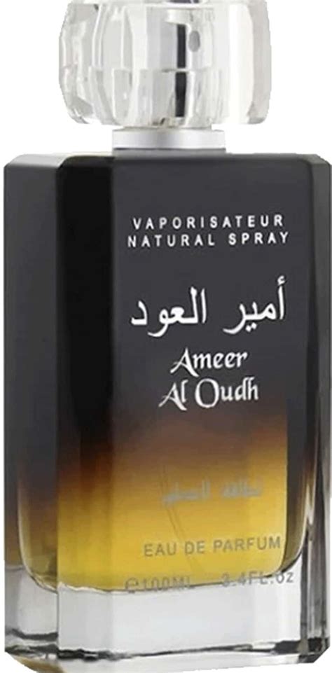 Buy LATTAFA AMEER AL OUD LONG LASTING IMPORTED EAU DE PERFUME, 100ML ...