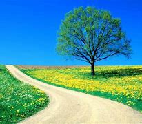 Image result for Spring Wallpaper for HP Desktop