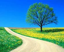 Image result for Cute Spring Wallpaper for Laptop