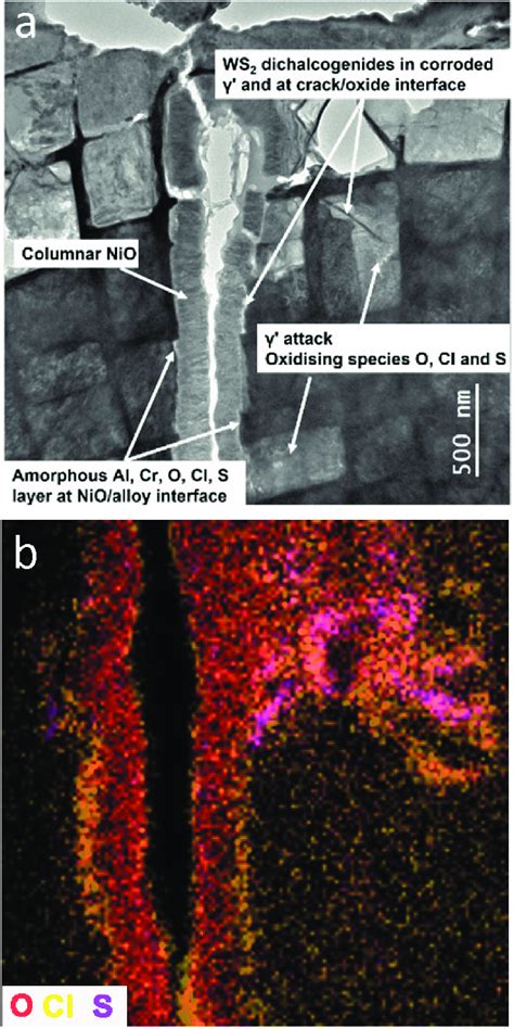 Stem OBF 的图像结果
